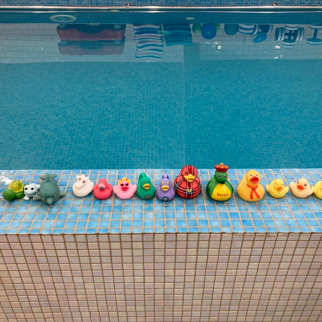 Swim Stars Saint-Maur - Les Mûriers 3
